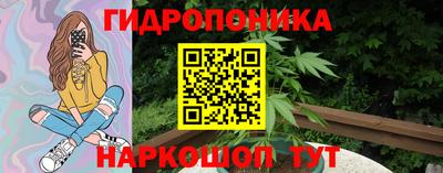 прущие крисы Кандалакша