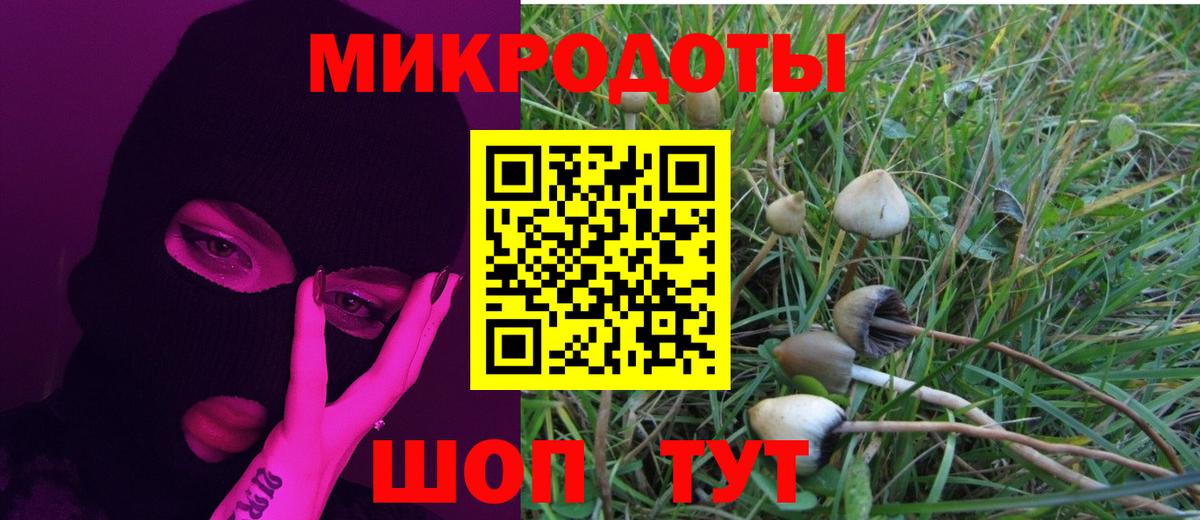 Псилоцибиновые грибы прущие грибы Арсеньев
